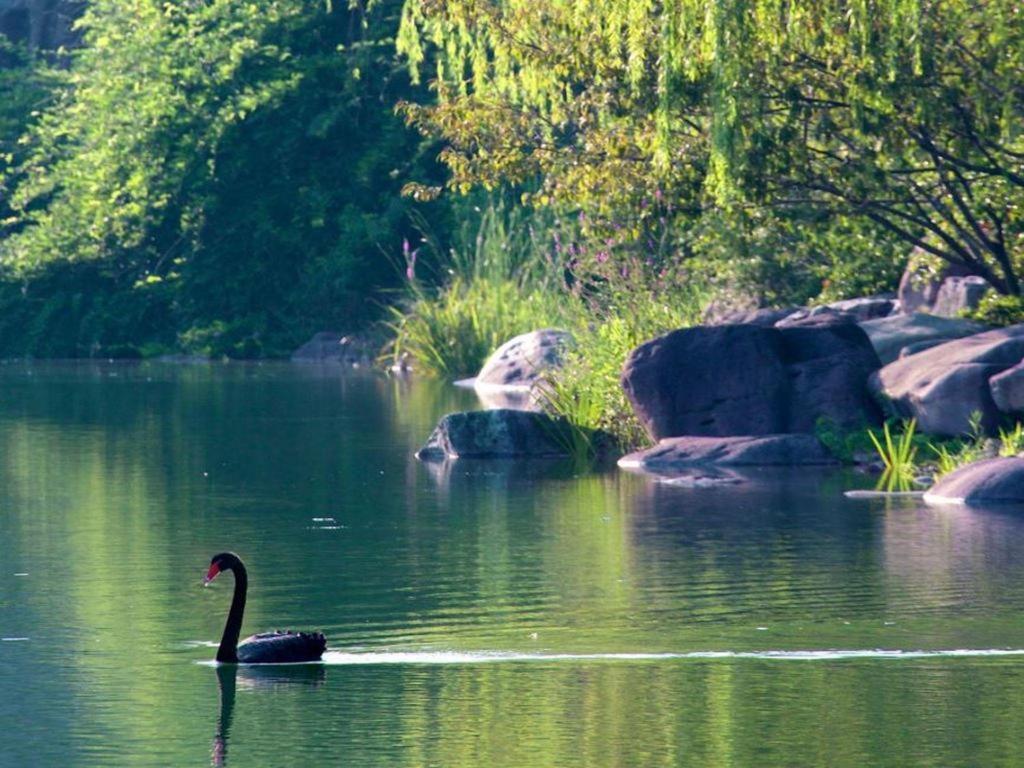 Suzhou Jinji Lake Grand Hotel Exterior foto