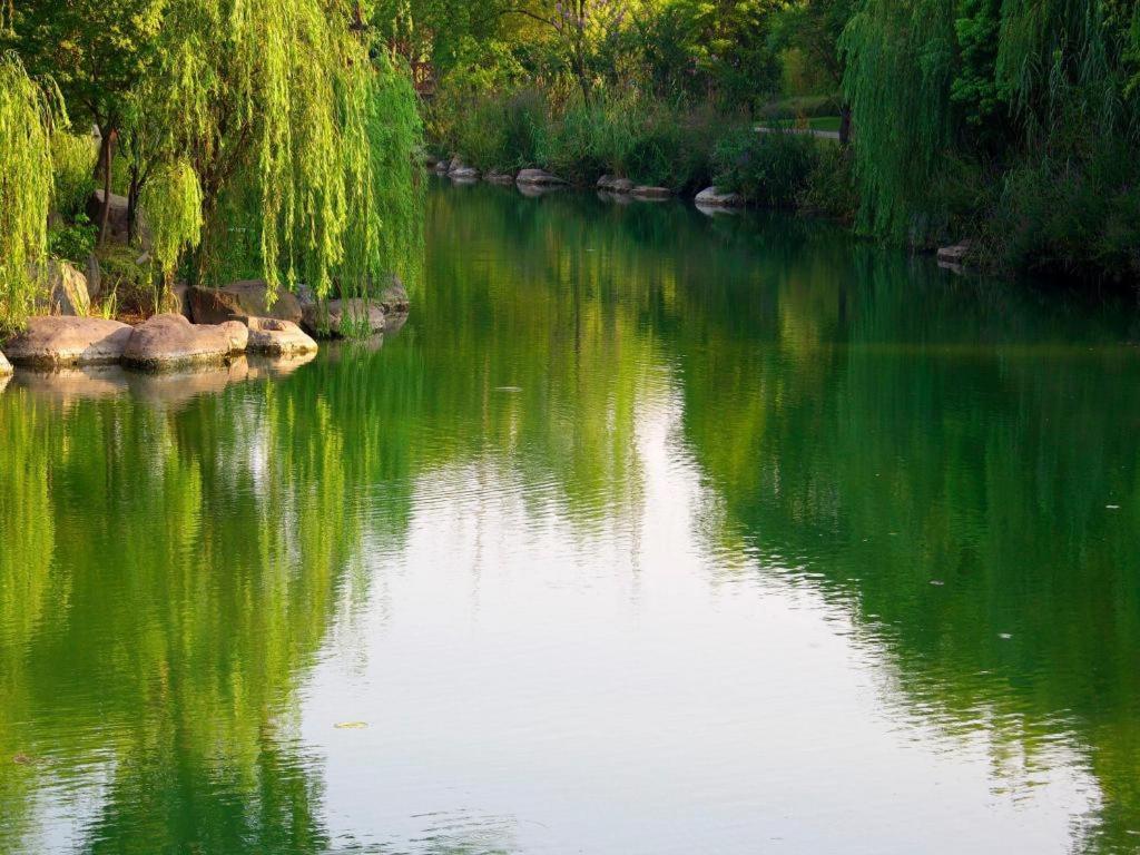 Suzhou Jinji Lake Grand Hotel Exterior foto